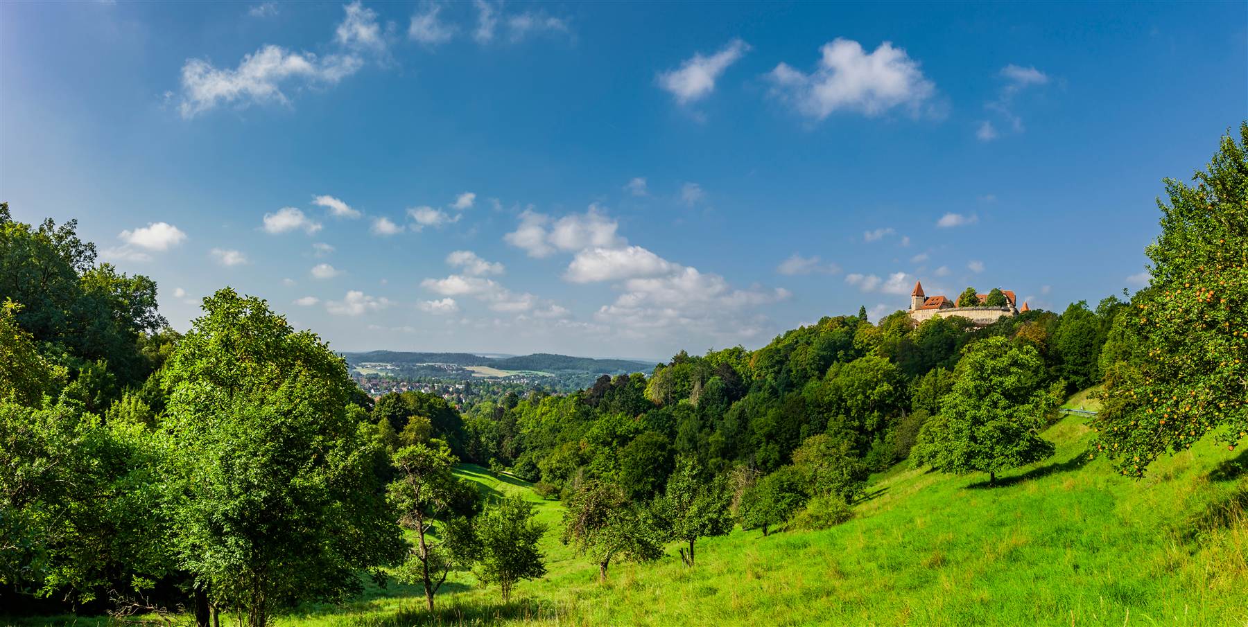 Fränkisches Revier bei Colmberg, Streuobstwiese mit Burg im Hintergrund