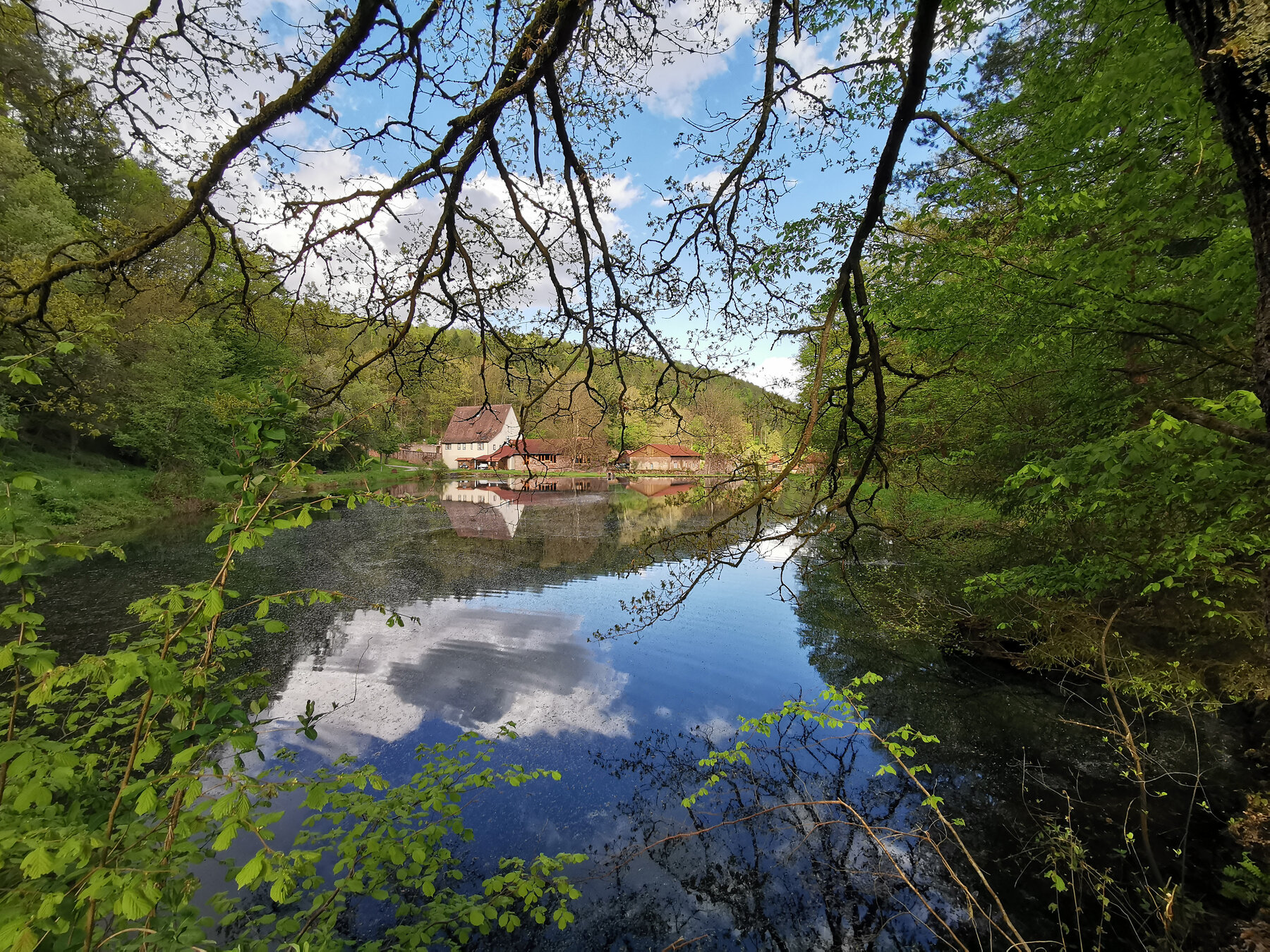 Weiher im Spessart, umrahmt von dichtem Laubwald